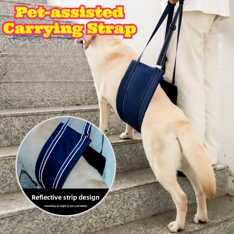 

Senior Dog Lift Harness Adjustable Breathable Support Vest with Handle Weak Hind Legs Mobility Assistance Walking Climbing Use