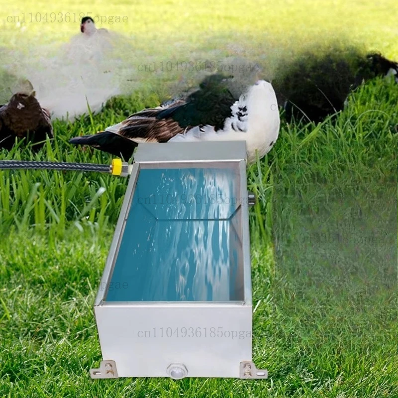 Stainless Steel Water Dispenser, Automatic Water Storage Tank, Automatic Water Feeding for Poultry, Large Drinking Basin