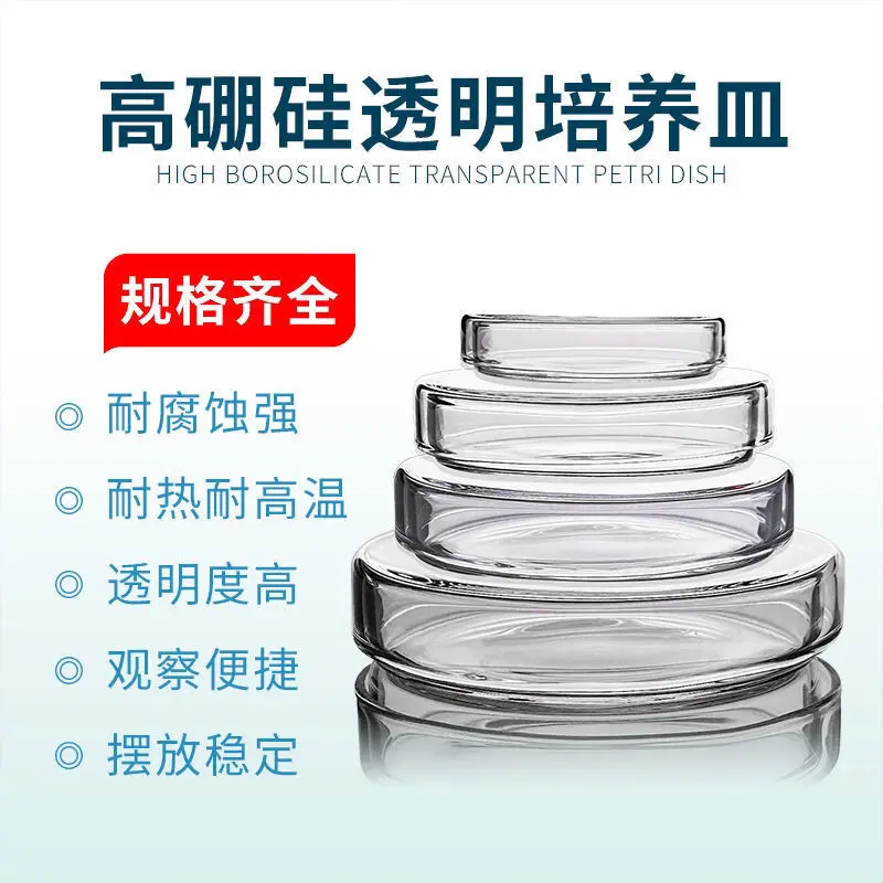 5PCS  Glass culture dish/transparent/bacterial culture/high borosilicate 120mm