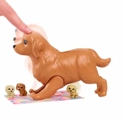 1 Set 1:6 Doll House Accessories Mini Plastic Dog + Pet Equipment Outdoor Combination for 30cm 11.5inch  Doll Toys Set