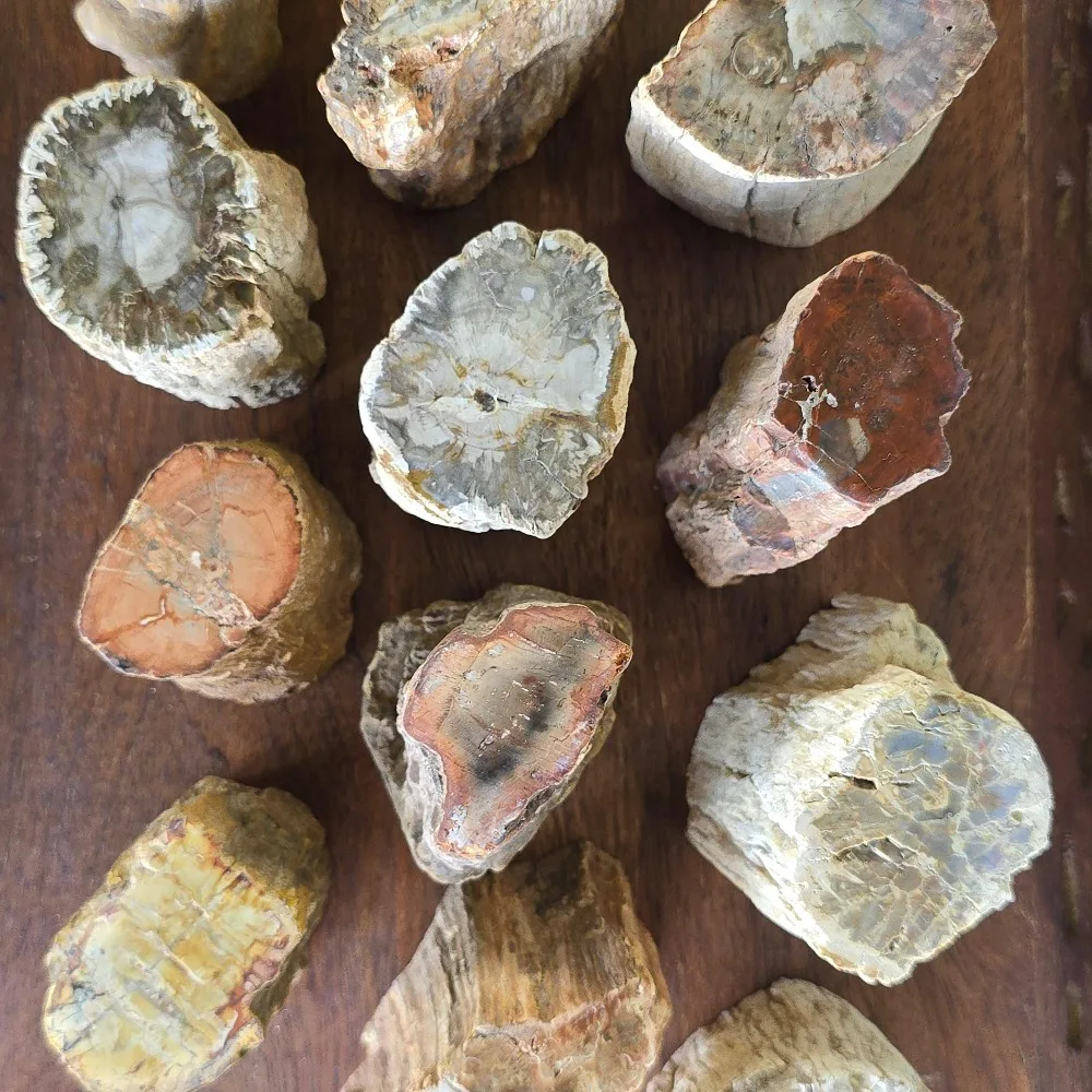 1 Stück Natürlicher Mineralischer Zylindrischer Versteinertes-Holz-Stein-Artefakt, Energie-Kristallscheibe, Rohstein-Holz-Exemplar – Detail 4