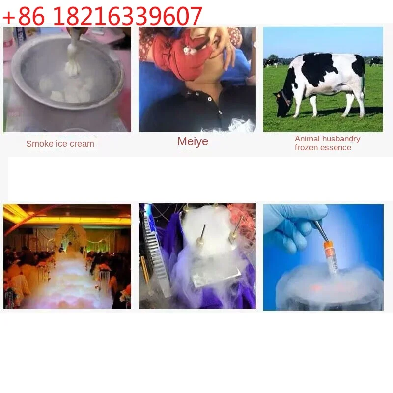 YAO 50Mm Caliber 10L Liquid Nitrogen Container Cryogenic Tank Dewar Liquid Nitrogen Container with Liquid Nitrogen Tank