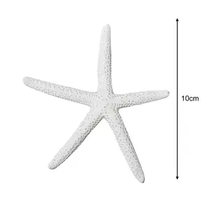 10 최고의 판매 수지 불가사리 -110