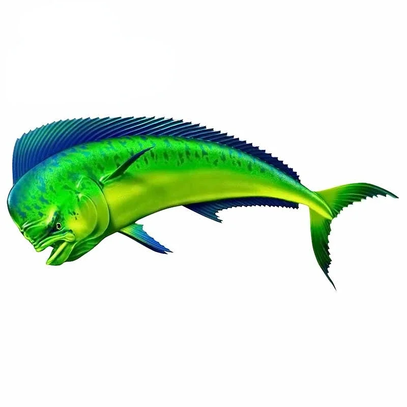 EARLFAMILY 43 см x 25,8 см 3D наклейка корифата гиппурус водонепроницаемые Переводные картинки для лодки Каяка автомобильная пленка виниловая пленка автомобильные аксессуары