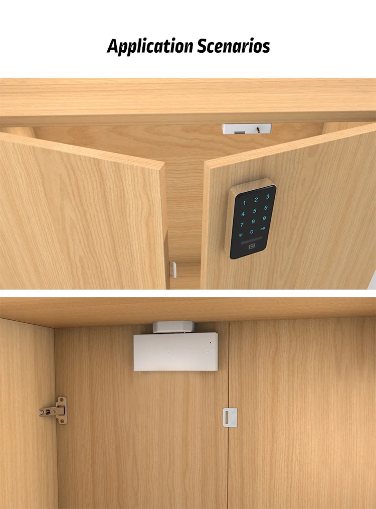 Touch Numerische Tastatur Passwort RFID Karte Schlüssel Digitale Elektronische Schrank Spind Schloss Großhandel – Detail 5