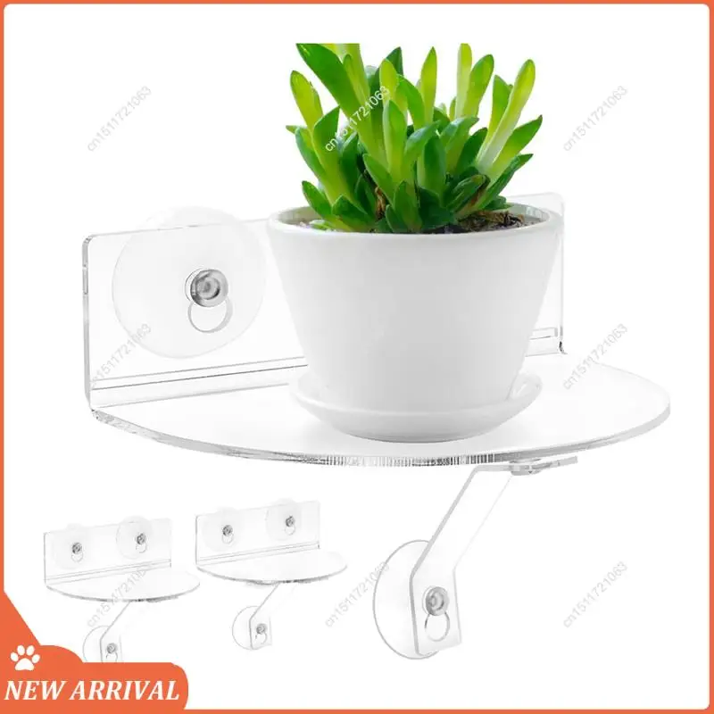 Emption!Clear Acrylic Window Plant Shelves With Suction Cups For Plants, Camera, Picture Frame