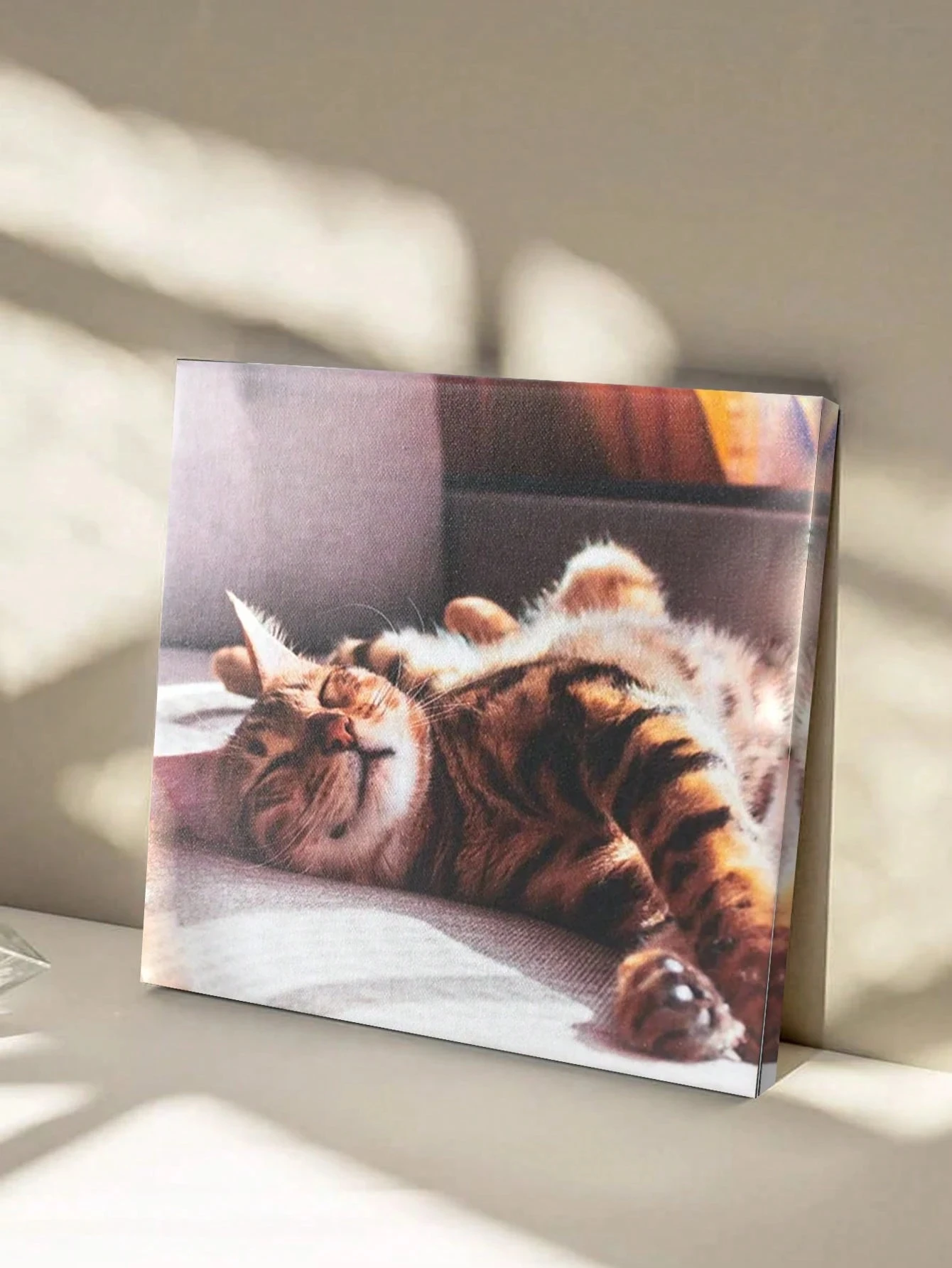 لوحة فنية مخصصة بإطار لصورة قط - مراجعة Pet Portrait Custom وسعره
