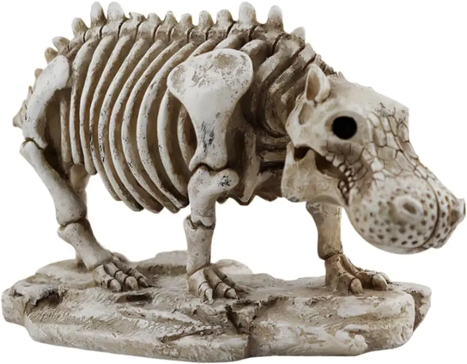 

Halloween Skeleton Hippo Decorations Statue, Skeleton Animals Bones, Graveyard Scenes, Halloween Sculpture Party Props