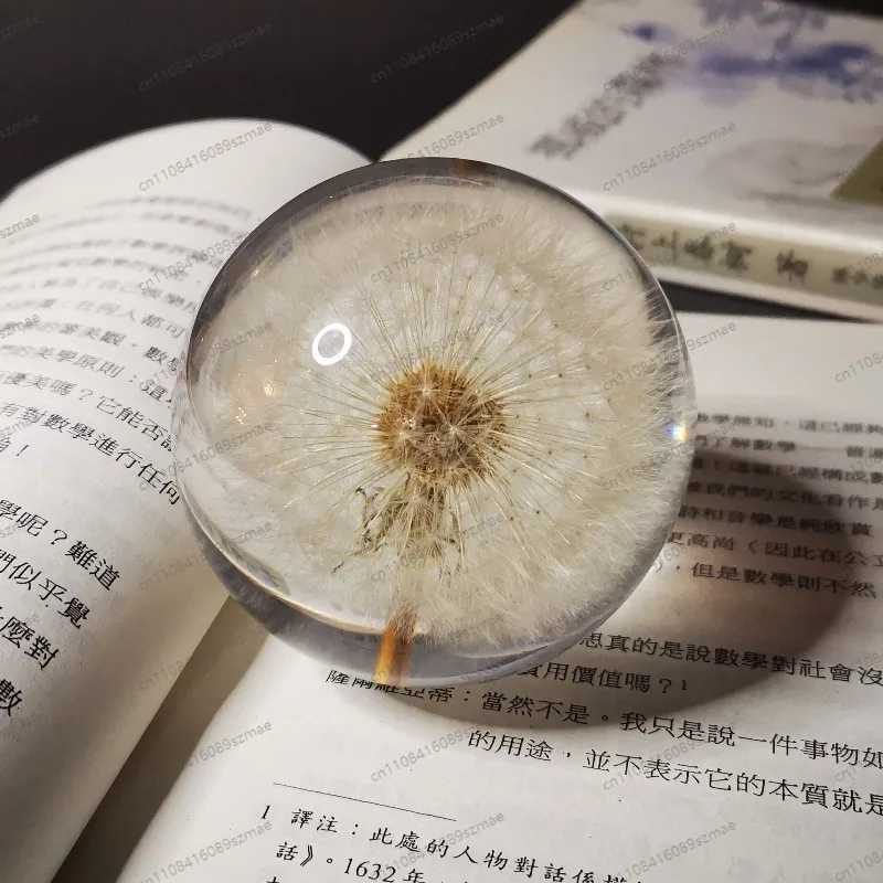 

Crystal Ball Ornament Preserved Dandelion Daisy Resin Creative for Home Entrance Bedroom Desktop Holiday Gift Decoration