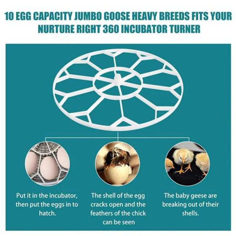 【ÉDITION LIMITÉE】 Pour incubateur lourd Jumbo Nurture Right 360 JGT360 compatible avec Goose, 2 pièces pour Maxim