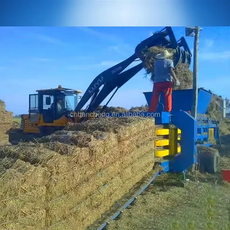 Recycling Machine 2026 Latest Cocopeat Rice Husk 1 Ton to 10 Tons Aluminum Can Clothes Plastic Pet Bottles Cardboard Press