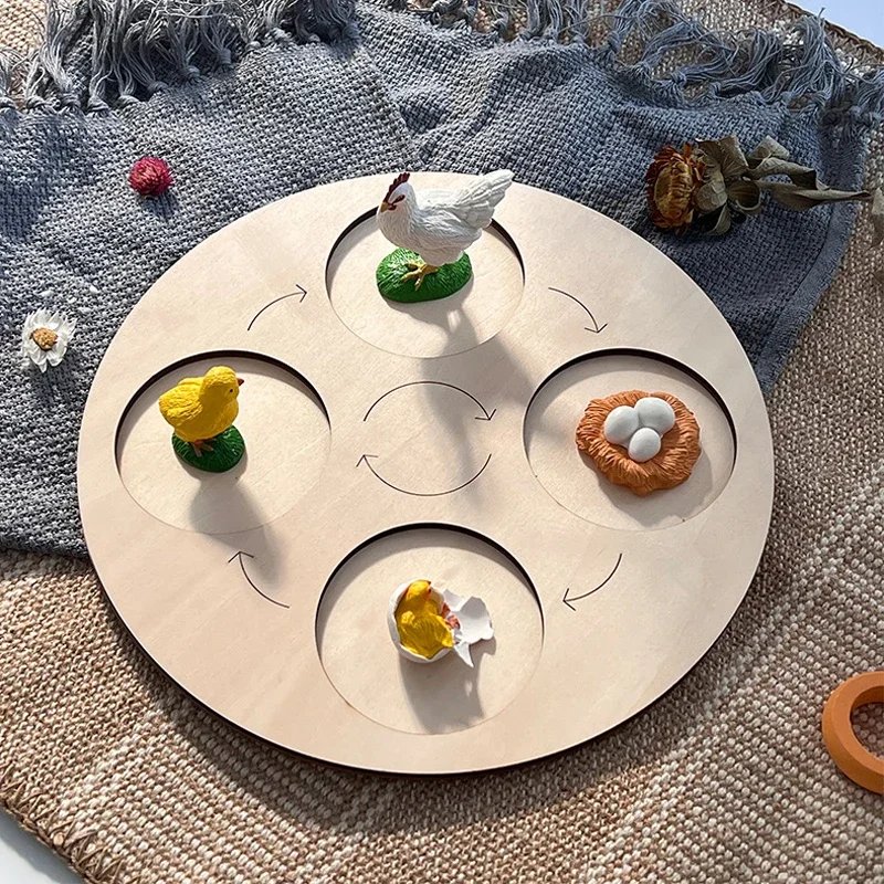 Animal Life Cycle Board Children Toys Montessori Teaching Aids Plant Animal Growth Cycle Model Set preschool cognitive Toys