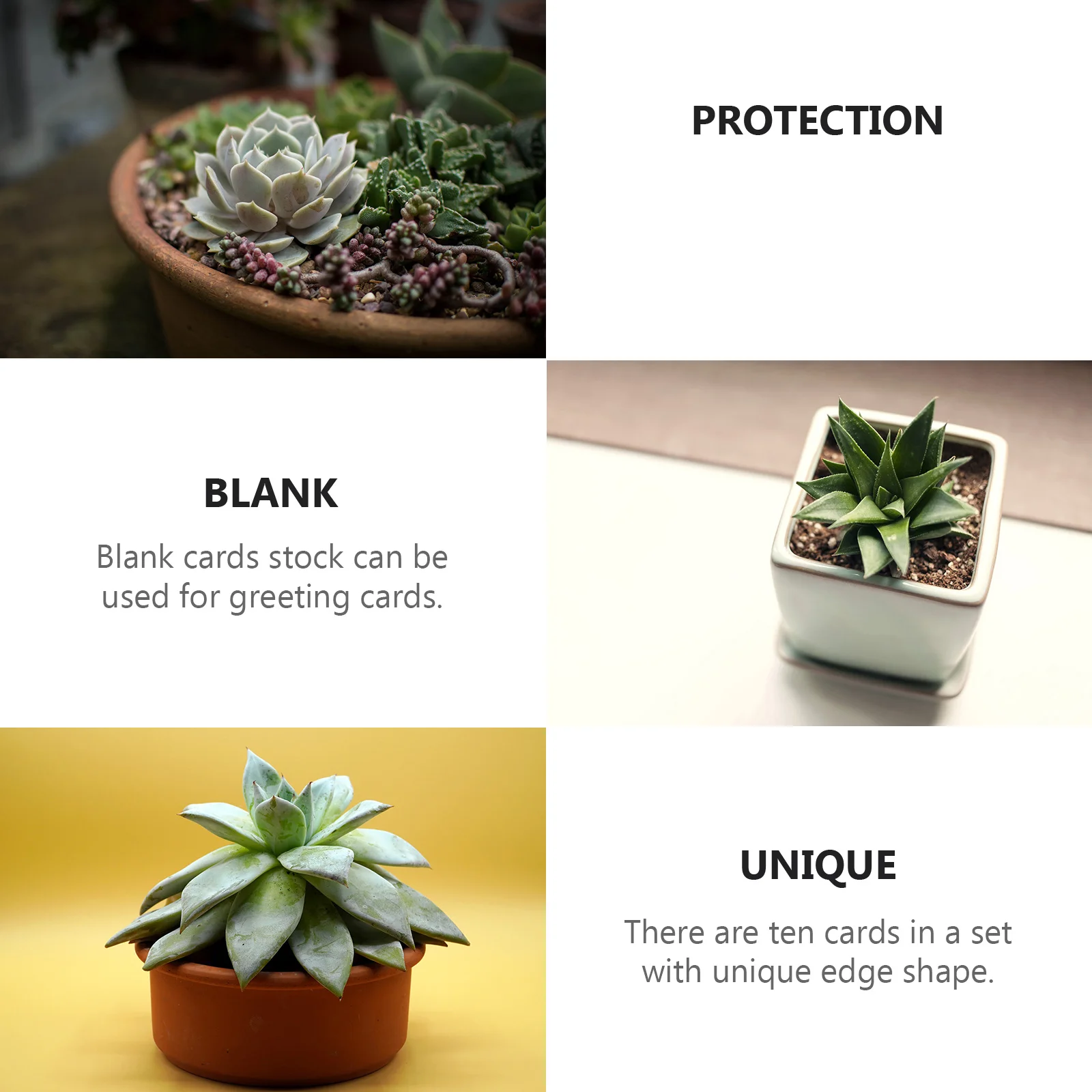 

1 Set Plastic Vented Cloches For Succulent Plants Transparent Plant Dome Frost Guard Germination Shelter Plant