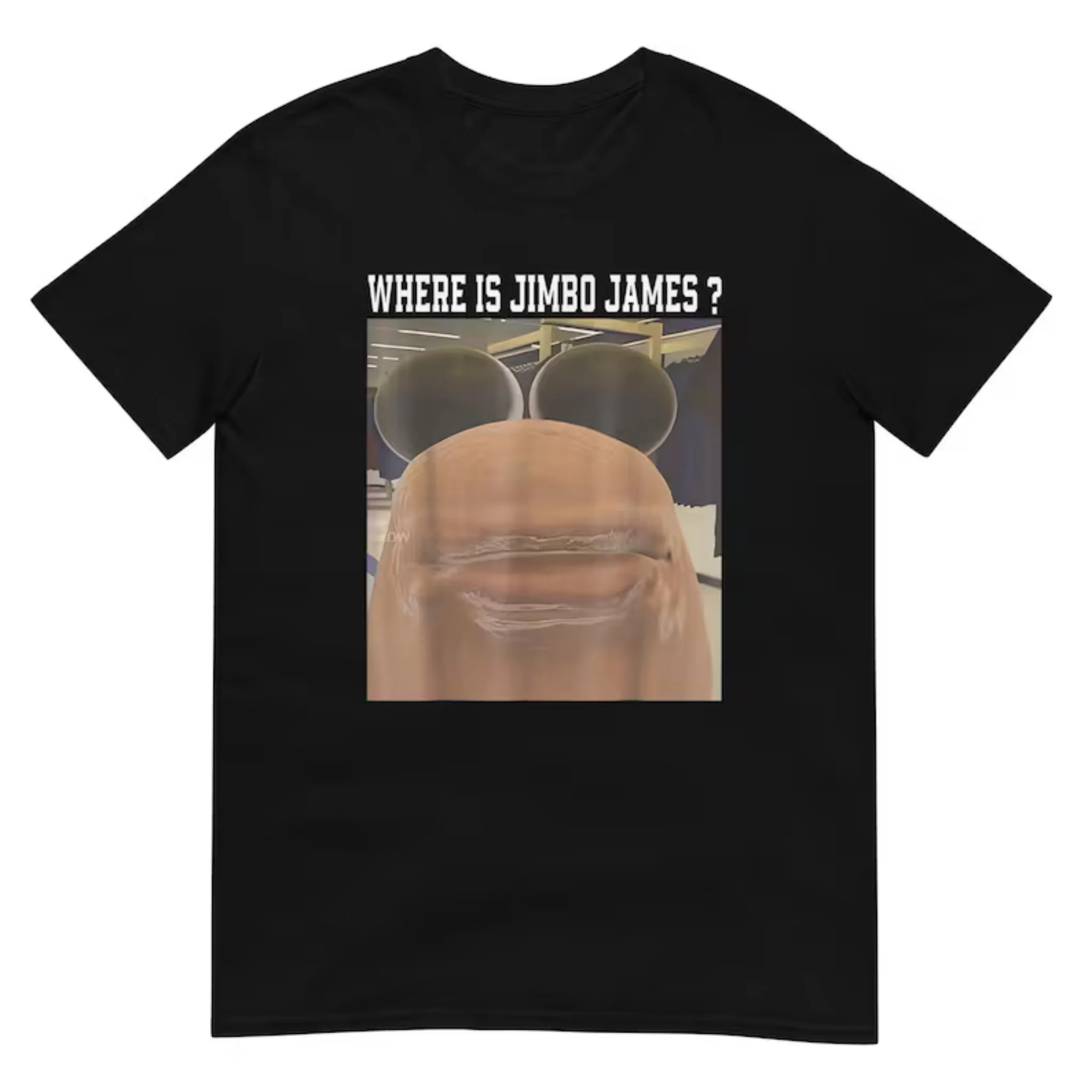 Women Short Sleeve T Shirt Where Is Jimbo James Weird 3D Cartoon Viral Meme Graphic Casual Tee
