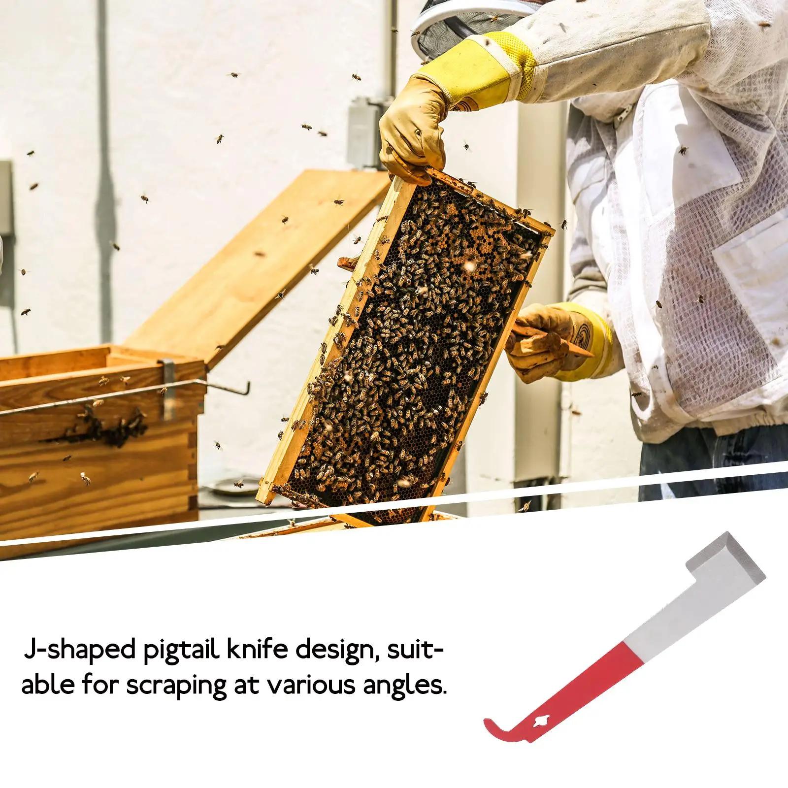 25Mm Stainless Steel J Shaped Hive Scraper Beekeeping Tool Bee Lifter Hook Beehive Cleaning Apiary Supplies Keeper Accessories