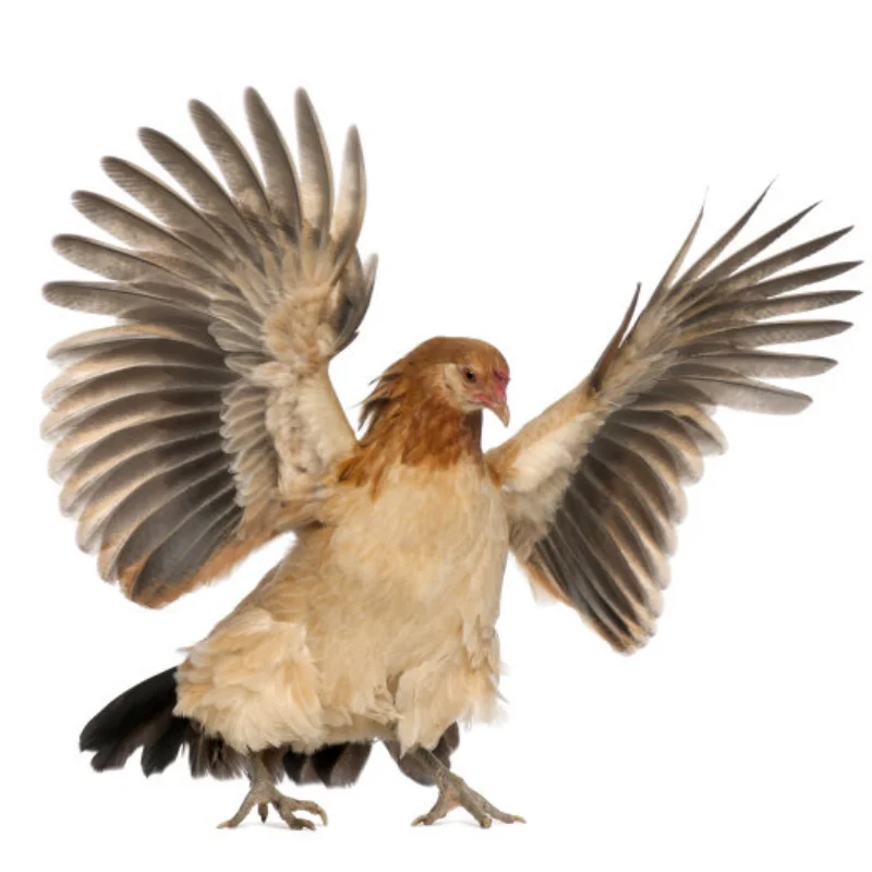 

WLtoys 104001 Обновление запасных частей для радиоуправляемого автомобиля, металлический комплект, чашка заднего колеса, C-сиденье, передняя рулевая чашка, тяга, поворотный рычаг