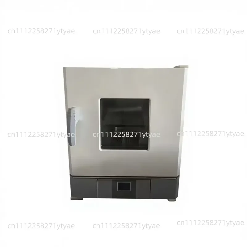 Blower Drying Oven Electric Heating Constant Temperature Oven