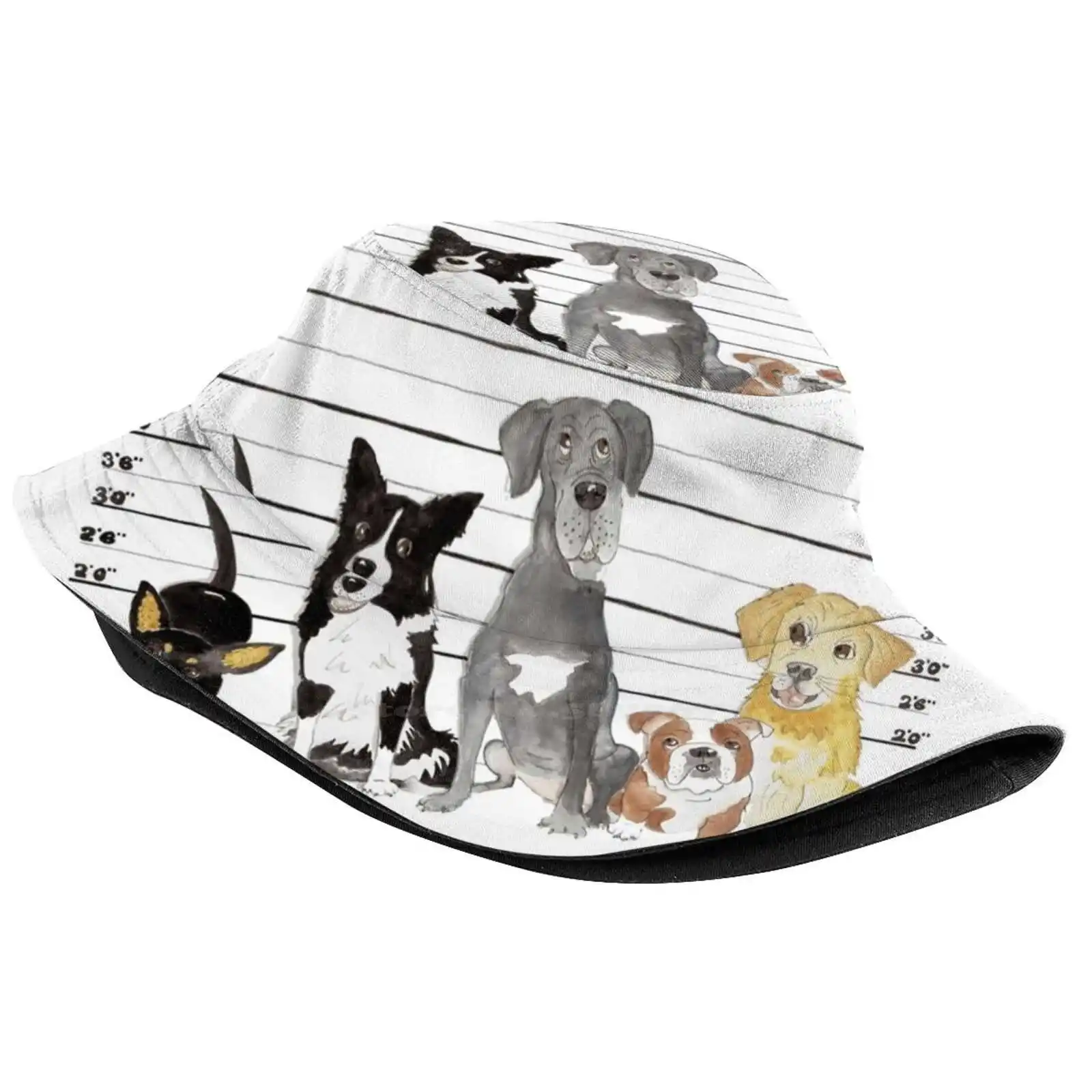 The Usual Suspects Fisherman's Hat Bucket Hats Caps The Usual Suspects Dogs Canines Kelpie Border Collie Great Dane Bulldog