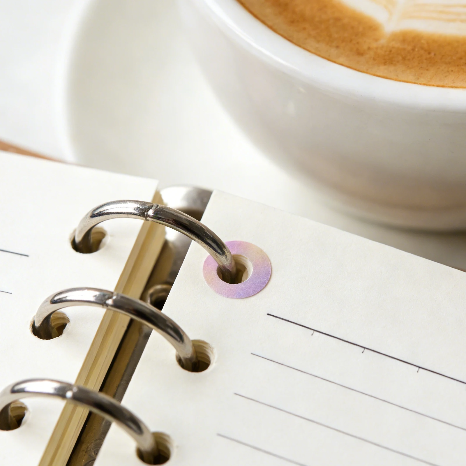 12 Sheets Hole Punch Repair Reinforcement Stickers Tear Resistant Circles Protector for Loose Leaf Paper Sheets