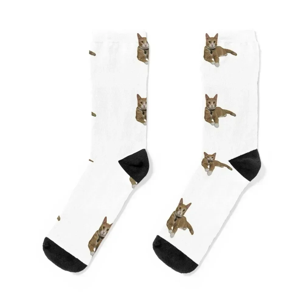 

Sarge laying down Socks New year's designer brand Run shoes Boy Socks Women's tennis anti-slip set cotton Ladies Socks Men's