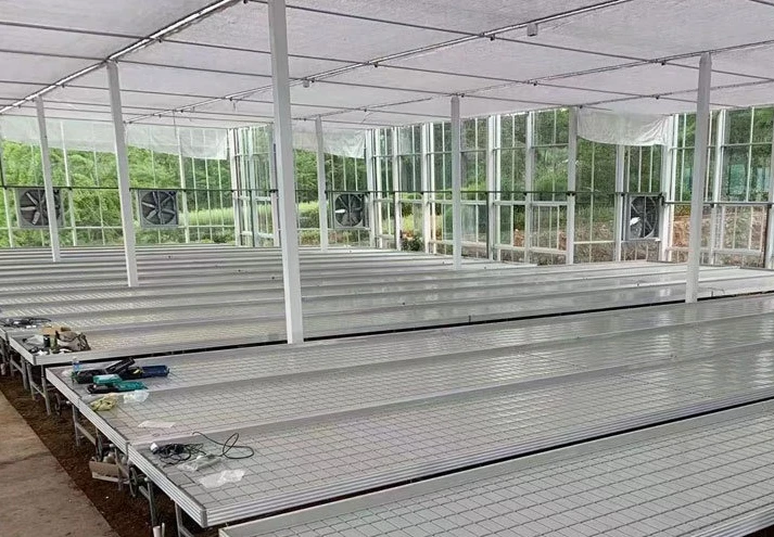 지속 가능한 친환경 수경 재배 묘목 트레이 재배 트레이