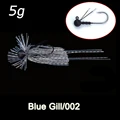 5g  C2