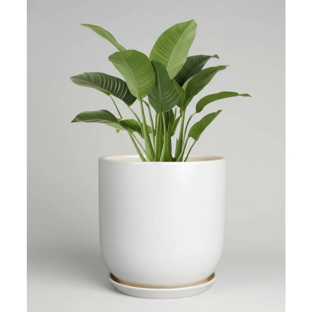 

Большой 12-дюймовый керамический горшок для растений с дренажным отверстием и блюдцем - современный цветочный горшок для дома и улицы для декора домашнего сада