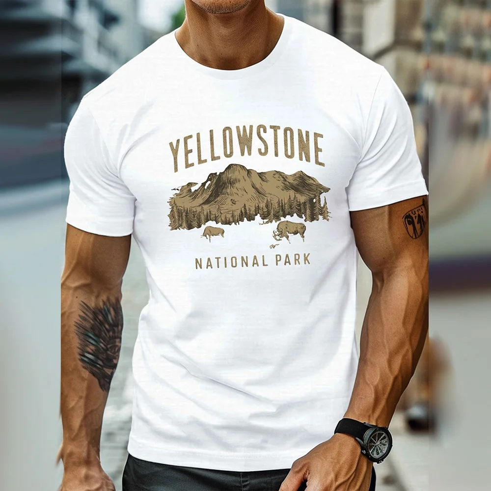 Men 3D Pattern Printed T Shirt Summer Casual Fashion Classic T Shirt Loose Short Sleeve Jogging Fitness Short Sleeve Top