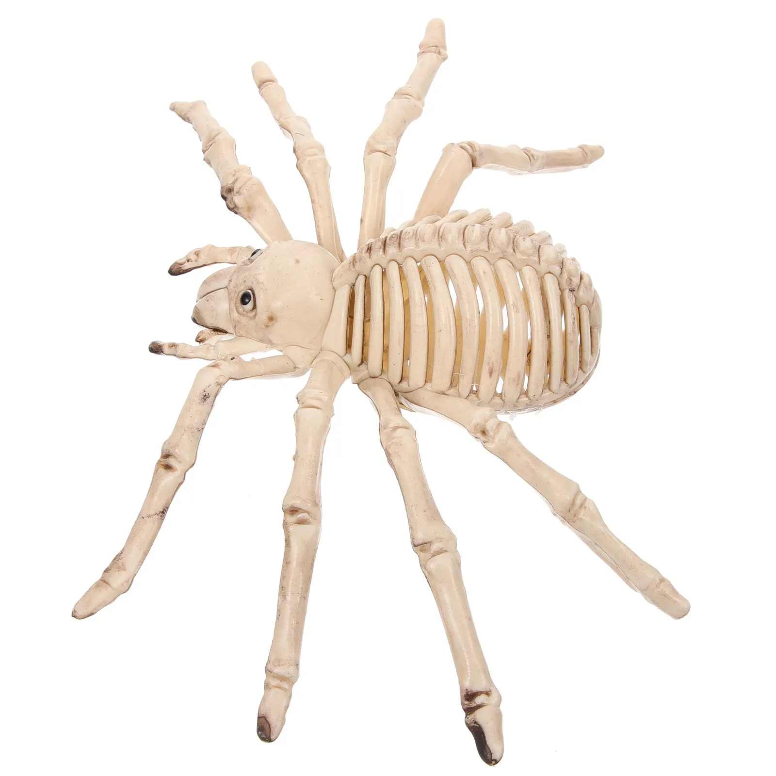 1 個のスパイダーボーン細かい細工ハロウィンスパイダースカル怖いパーティー装飾フェイク