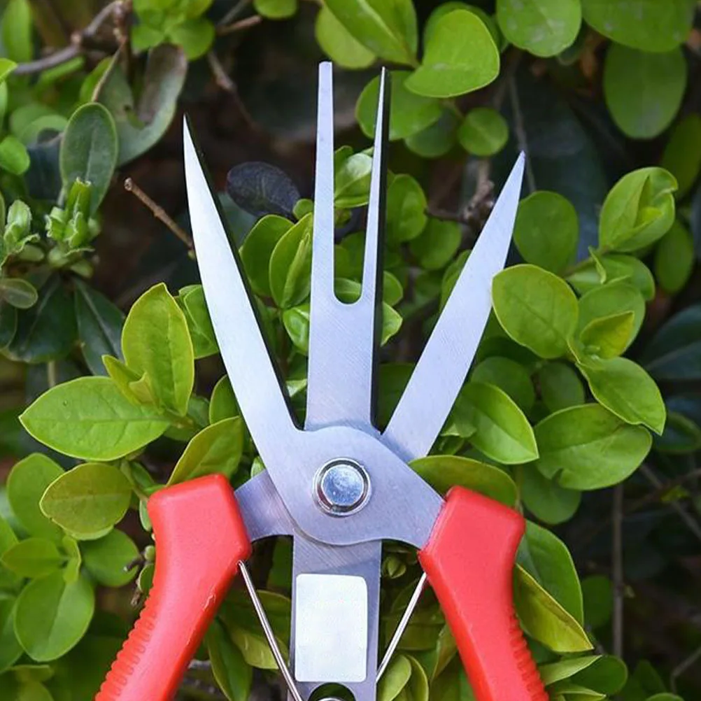 

Double Mouth Scissors Pruning Shear Veggie Fruit Garden Tools Lightweight Handle Suitable Home Orchard Gardening Bonsai Plastic