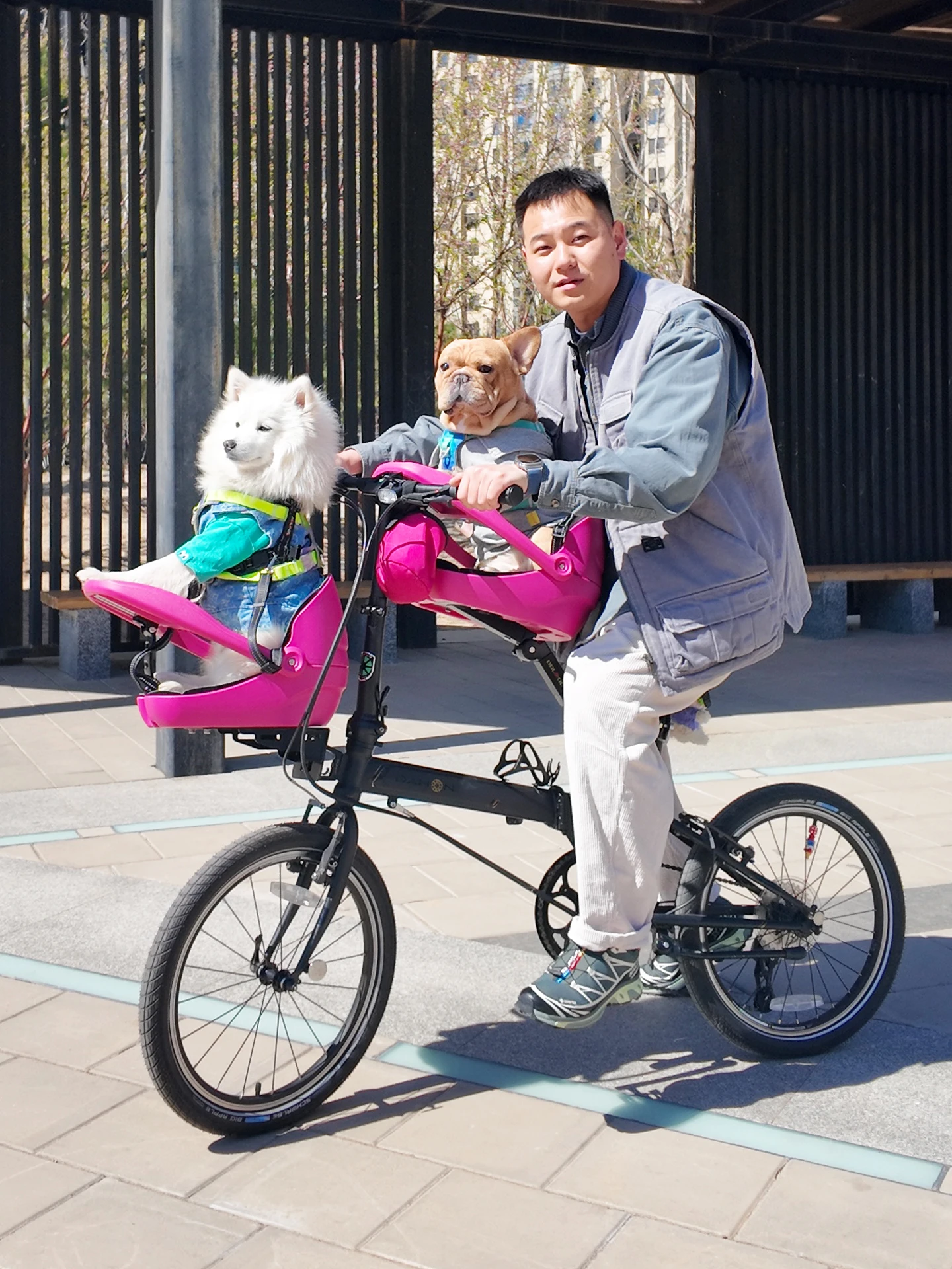 Bicycle Road Bike Daxing Pet Seat Chair Basket Safety Dog Seat Accessories