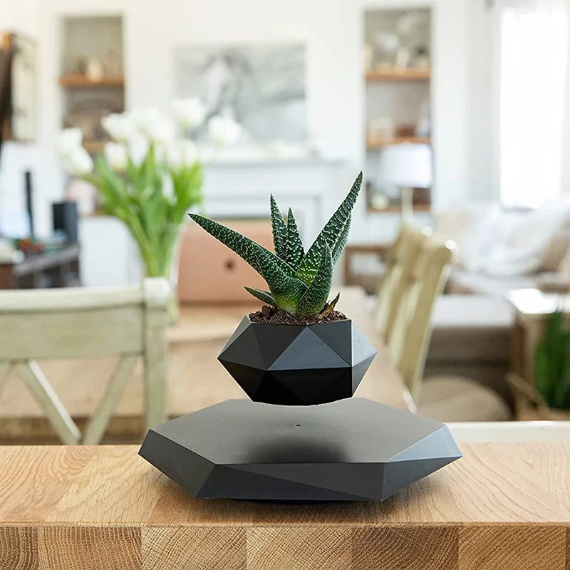 Floating Plant Pot Levitating Plant Pot for Succulents air Bonsai Plants Floating Planter for Home Office Desk Levitating Decor