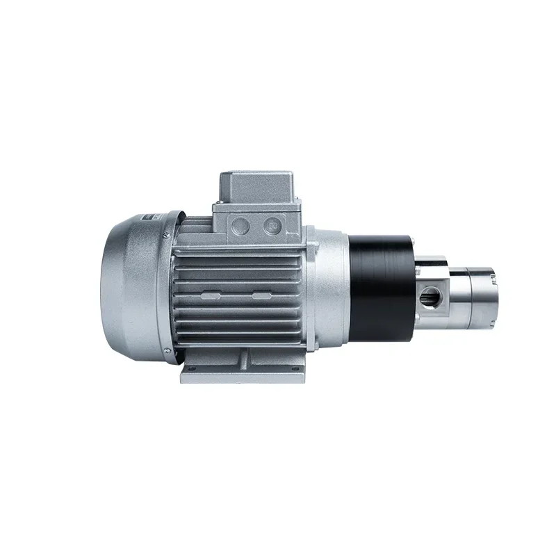 

316L Stainless Steel Leakproof Mpb100 Magnetic Drive Gear Pump Equipped With 550W Three-Phase Asynchronous Motor