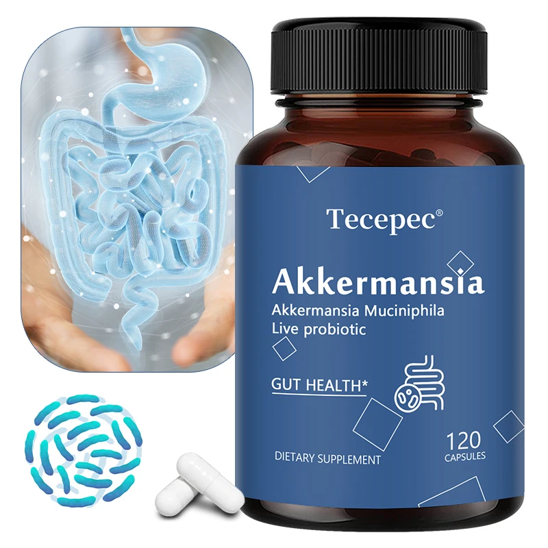 Akkermansia Muciniphila Cápsulas probióticas activas, apoyar la digestión, la salud intestinal, promover el equilibrio intestinal de la flora