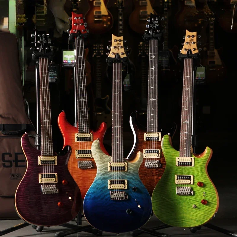 

Custom 24 Std SilverSky Professional Electric Guitar Beginner's Guide