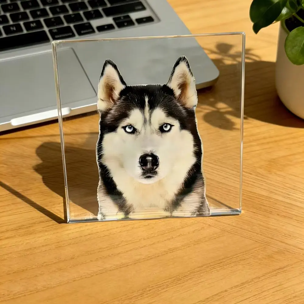 1PCS Husky Specimen Desktop Decoration Living Room Decoration Ornaments Holiday Animal Themed Party Decoration