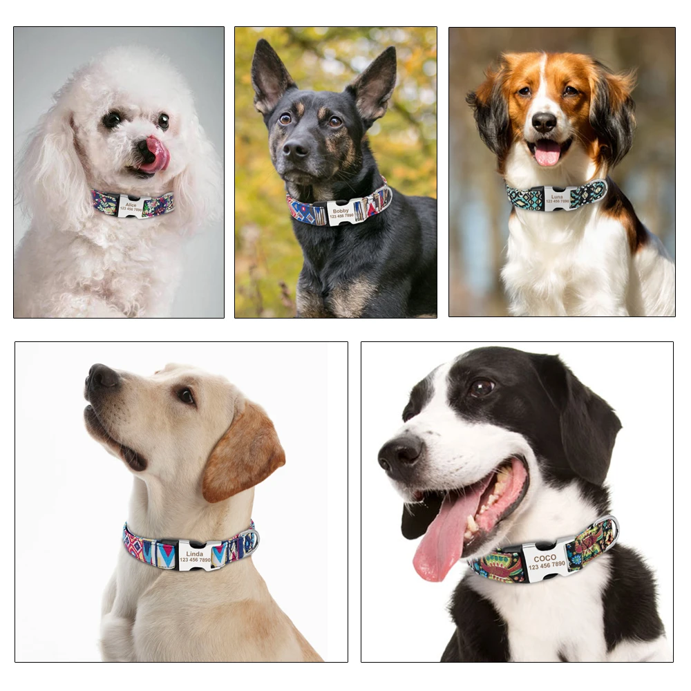 Collier de chien en nylon gravé personnalisé, étiquette personnalisée pour animal de compagnie, plaque signalétique imprimée pour chiot et chat,