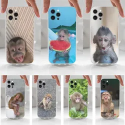 Cute Funny Monkey Phone Case For iPhone 16,15,14,13,12,11 Plus,Pro,Max,XR,XS,X,7,8 Plus,SE,Mini,Transparent,Silicone Case
