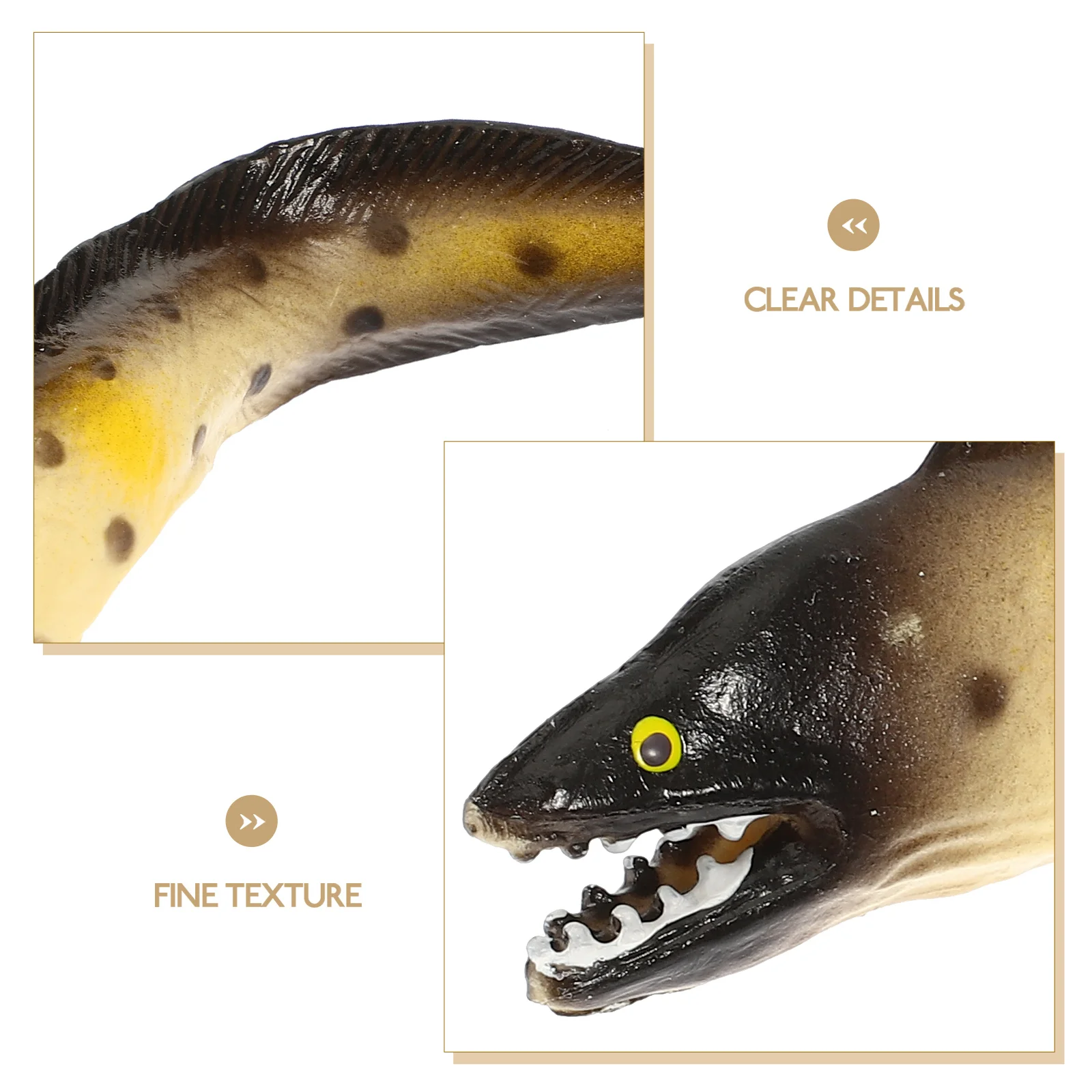 Juego de 5 figuras falsas de animales marinos, modelo de Anguila Moray, juguete de aprendizaje, océano marino, simulación de plástico realista, simulado para niños