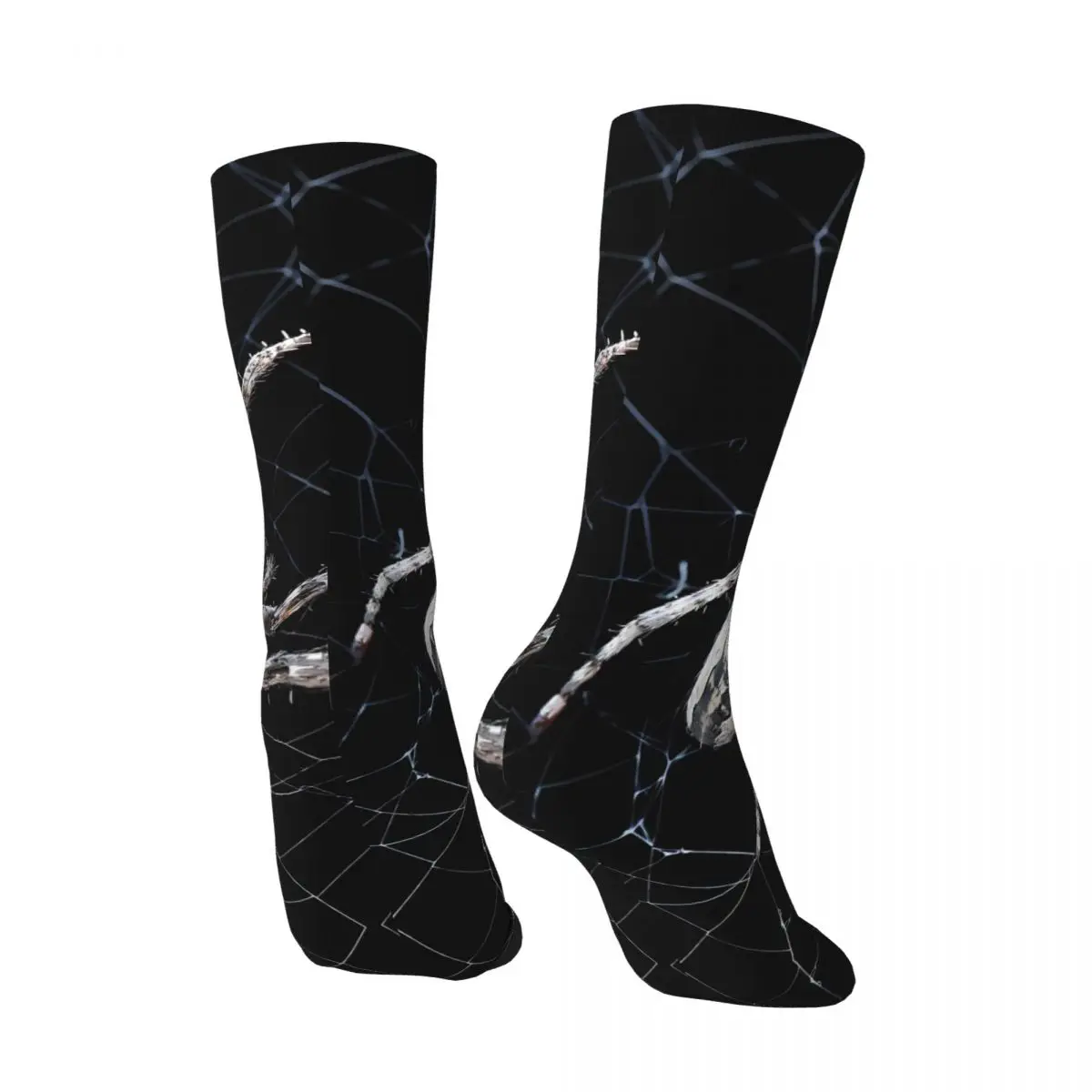 Big Spider On Cobweb Funny Men's Socks Retro Spider Web Animal Street Style Seamless Crew Sock Gift Pattern Printed