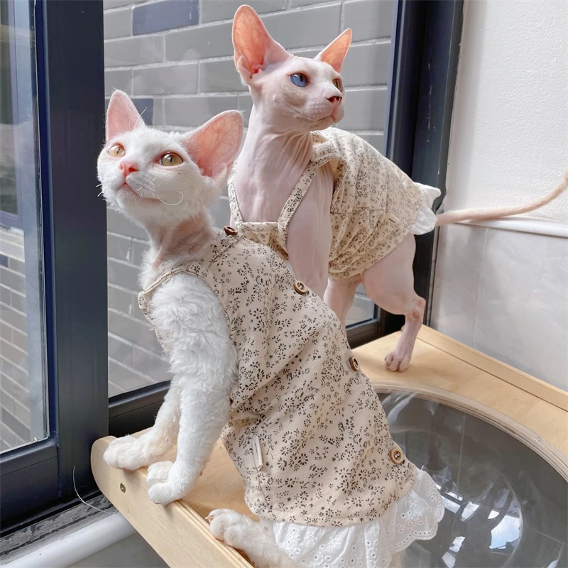 Sphynx Cat Clothes …