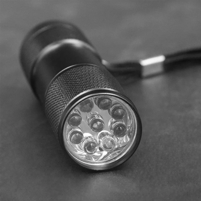 UV Flashlight with Lanyard, Black Light Flashlights, Pocket Sized 9 LED Torch for Pet Clothing Detection/Emergency/Camping