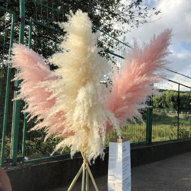 70-80cm Natural Reed Dried Flower White Pink Big Pampas Grass Bouquet Wedding Flower Ceremony Decoration Modern Home Decoration