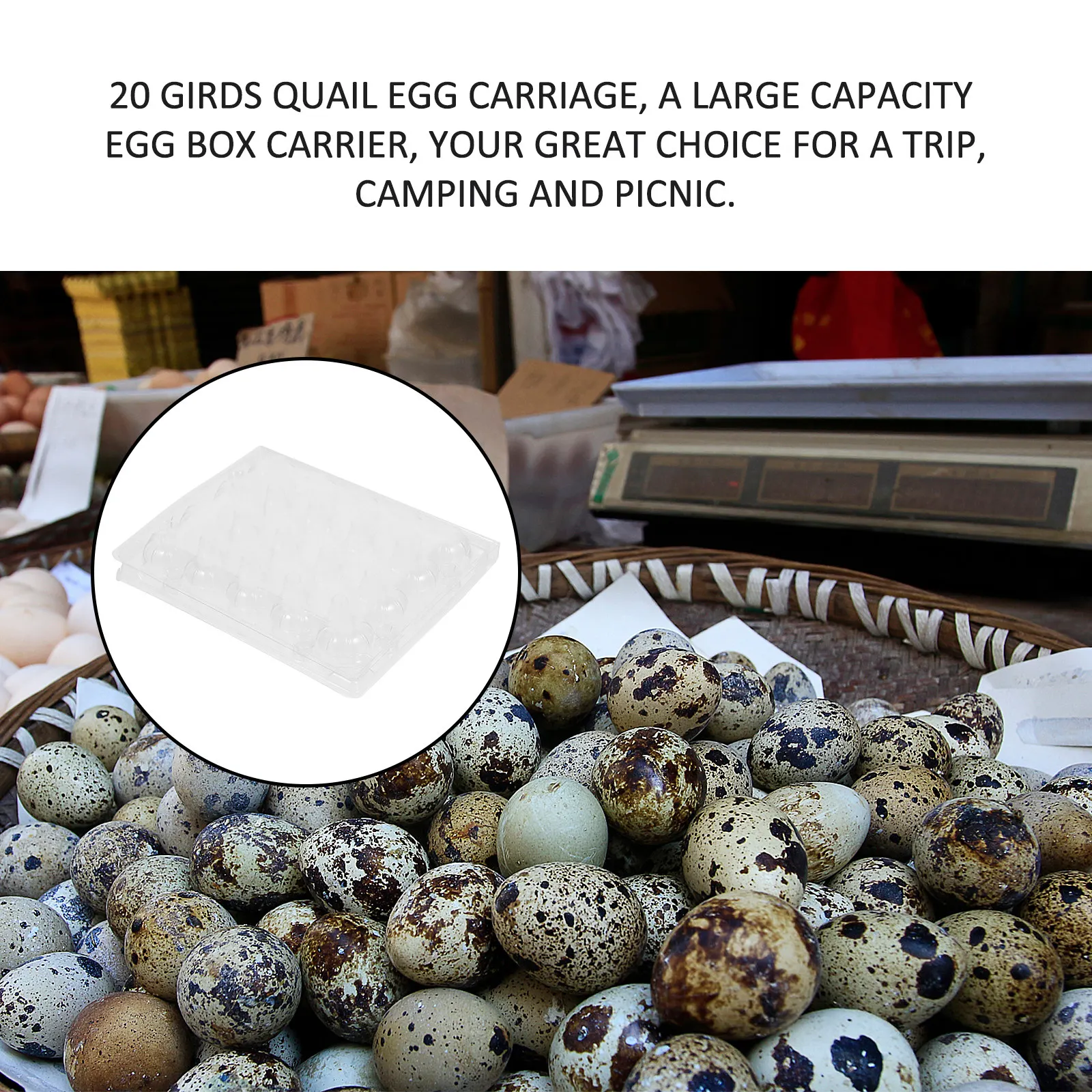 50 قطعة حامل بيض السمان من البلاستيك الشفاف 20 شبكة حاوية تخزين البيض منظم الثلاجة صندوق نزهة السفر