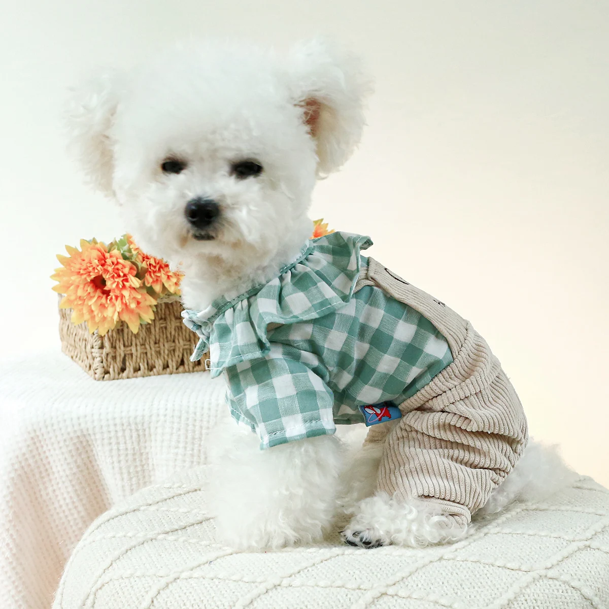 1PC Pet Clothes Cat Spring and Autumn Lotus Leaf Green White Strap Pants Four legged Suitable for Small and Medium Dogs