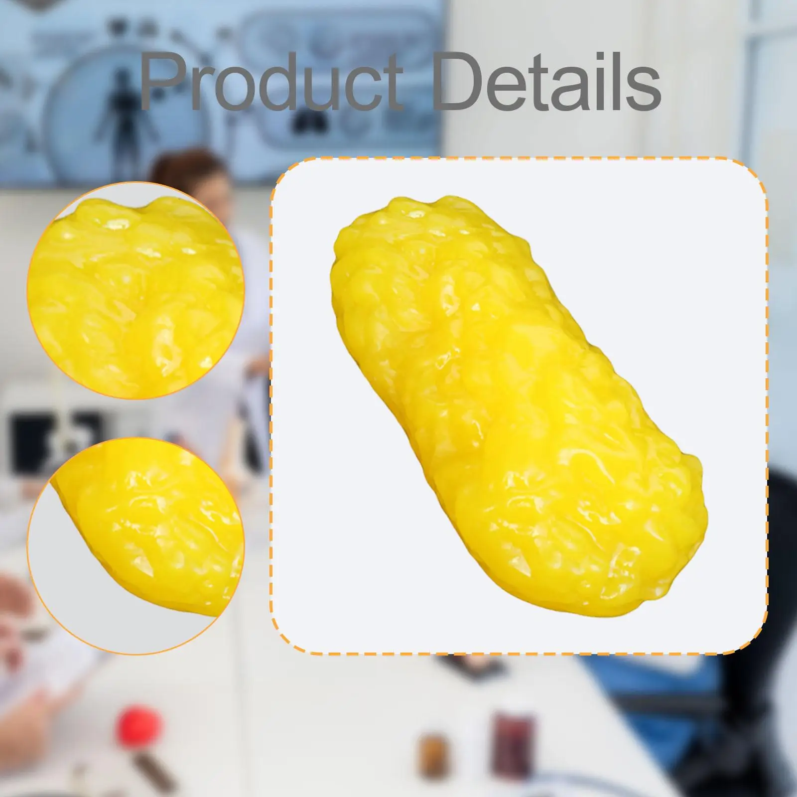 Human Body Fat Imitation Soft Simulation Fat Model Display Prop for Hospital