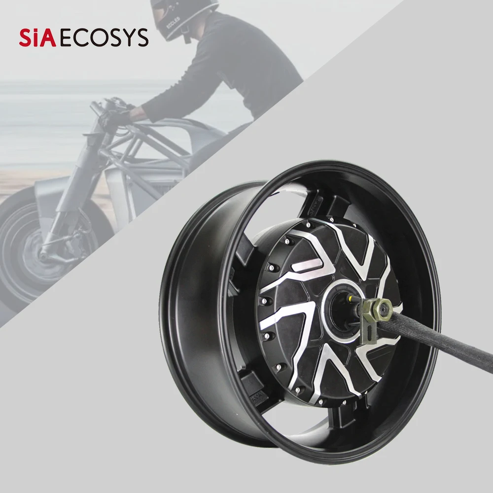 QSMOTOR QS273 V4 17x6.0inch 12KW 120-157KPH BLDC Dual Shaft In-Wheel Hub Motor for E-Motorcycle