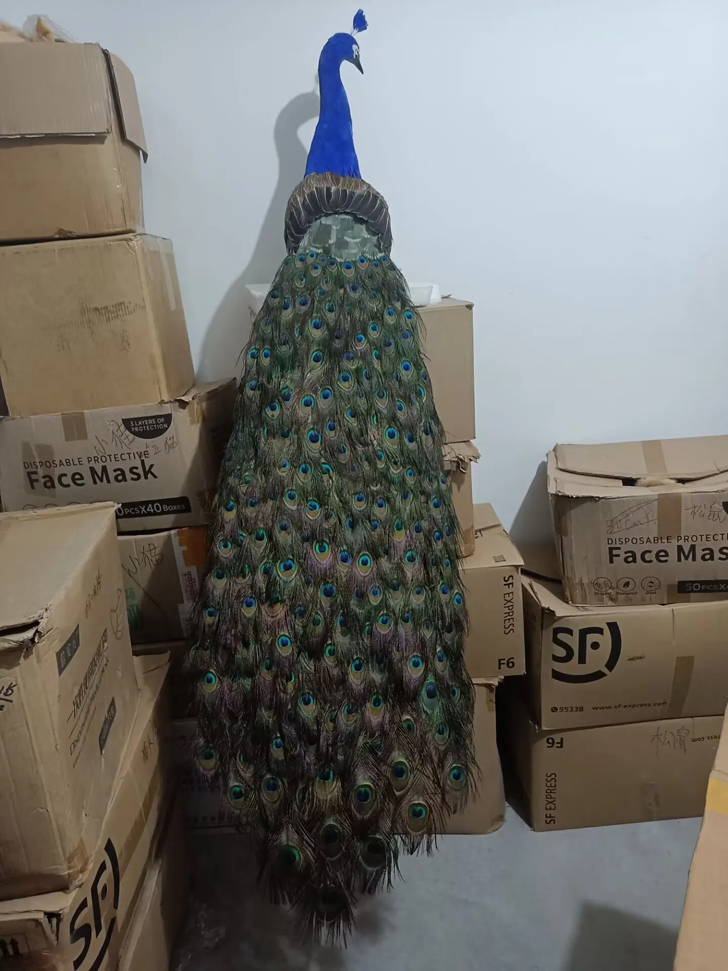 huge long simulation peacock model foam&feather colorful peacock gift about 180cm xf2933