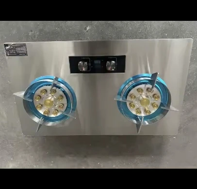 2-Burner Electric Cooktop Household Gas Hob Stove Built-In Kitchen Appliances for Home Cooking Gas and Electric Stove Commercial