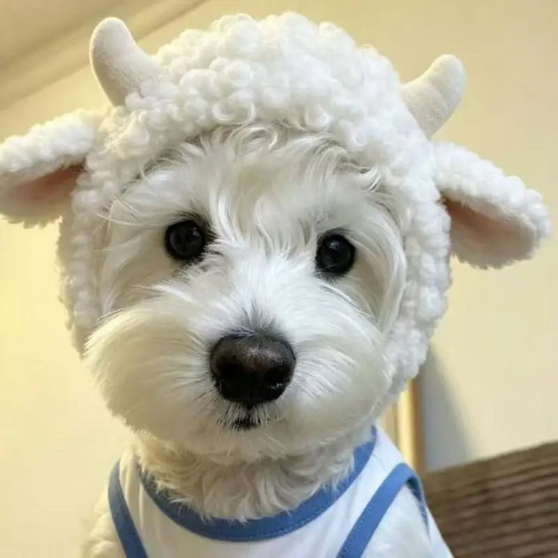 Soft Plush Horned Sheep Dog Hat Adorable Pet Cosplay Prop for Home Party Outdoor Travel Cute Photo Shooting
